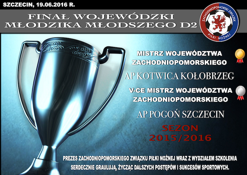 D2 PODSUMOWANIE kopia